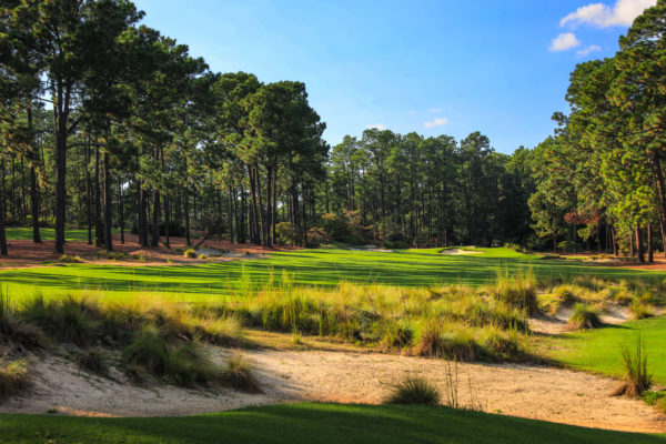 Pinewild Country Club – Holly Course