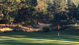 Pinewild Country Club – Azalea Course