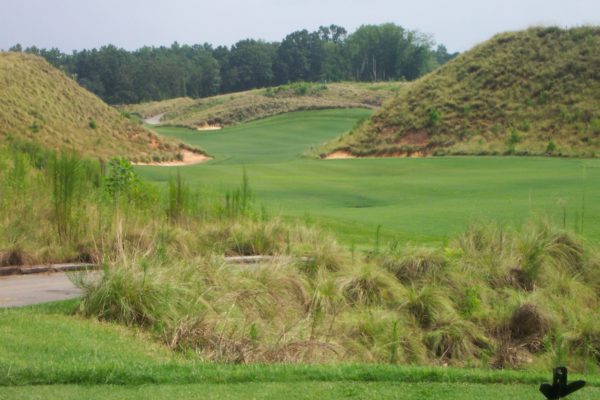 Tobacco Road Golf Packages