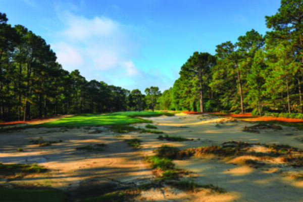 Pine Needles Golf Packages